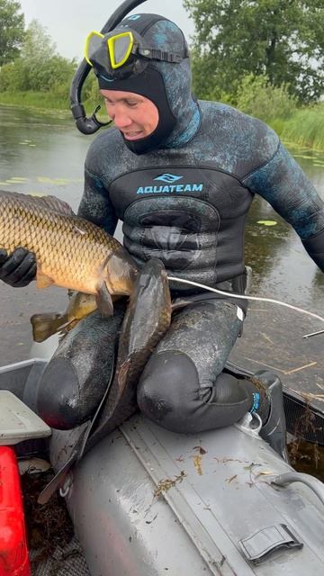 Сазаны и Лини в Протоках реки Белая. Подводная охота в Башкирии.