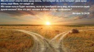 Однажды в суете мирской