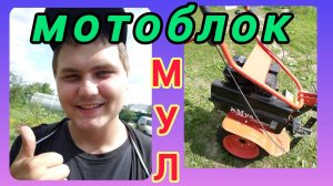 Мотоблок МУЛ. Обзор.