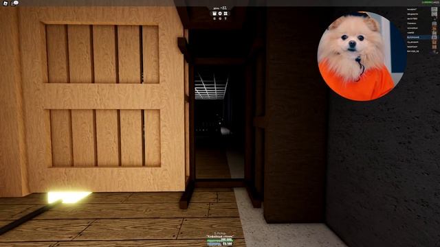 ПОСТРОИЛА ДВУХЭТАЖНЫЙ ДОМВ ИКЕЕ ! ВЫЖИВАЮ В РОБЛОКС ИКЕЕ ! 3008 смотреть онлайн