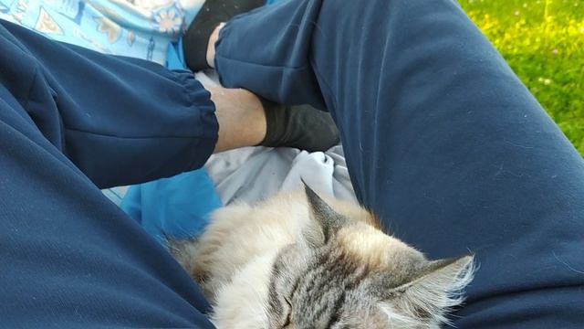 уДачная любовь