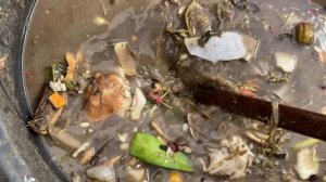 Делаю барматуху  Дзамболата для оздоровления почвы.