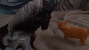 лошади рассказывают анекдоты