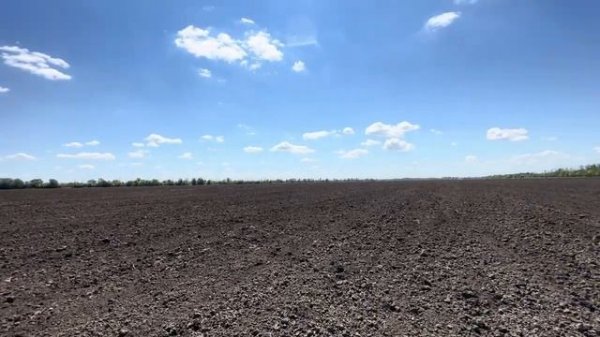 Урожай 2026. Полупар.