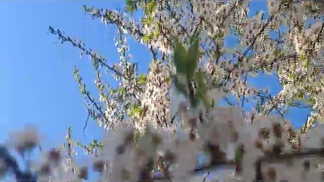 КОМЕДИЯ РОК Стоит жить!)) смотреть онлайн