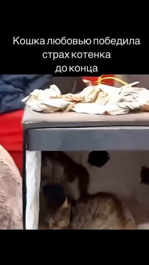 Любовь творит чудеса. Любите себя