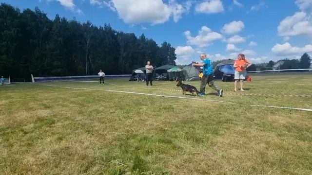 БЕБИ СУКИ / КЧК ТЮМЕНЬ 5 июля`25 А.Буйнова Моно немецких овчарок