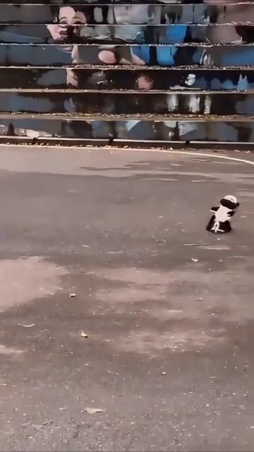 Гонки смотреть онлайн