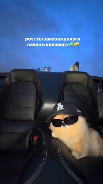 Клининг- это инвестиция в ваше время и настроение!