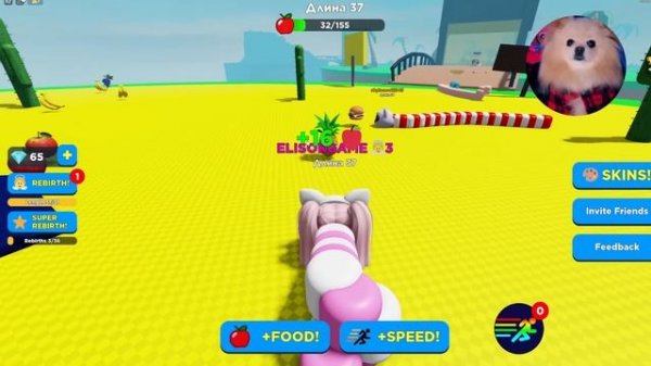 МЫ СТАЛИ ЧЕРВЯМИ С ВИКОЙ В РОБЛОКС ! САМЫЕ БОЛЬШИЕ ЧЕРВИ в ROBLOX | @vikiblissplay7