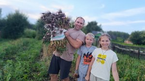 УТРО В ДЕРЕВНЕ/ДЕНЬГИ ДАЮТСЯ НЕЛЕГКО/ХРАНЕНИЕ ЧЕСНОКА/БАННЫЙ ДЕНЬ