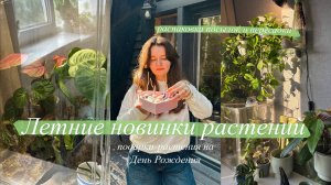 Супер новинки Растений || посылки, пересадки, домашняя тепличка, минеральный грунт | подарки на др