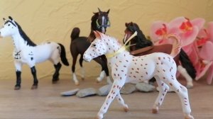 Видео обращение! Смотреть всем!