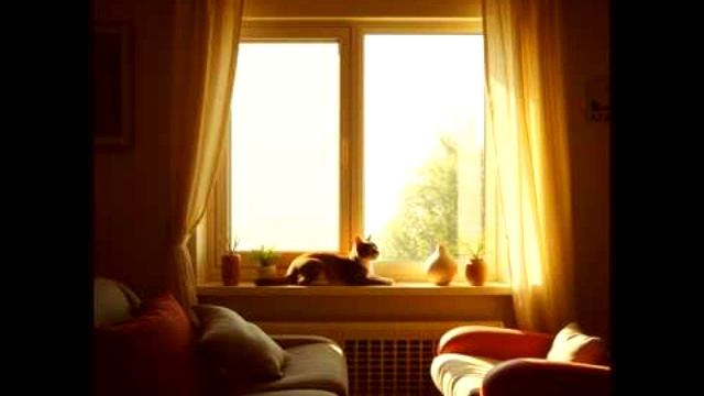 КОМЕДИЯ РОК Мой милый Кот!)) смотреть онлайн