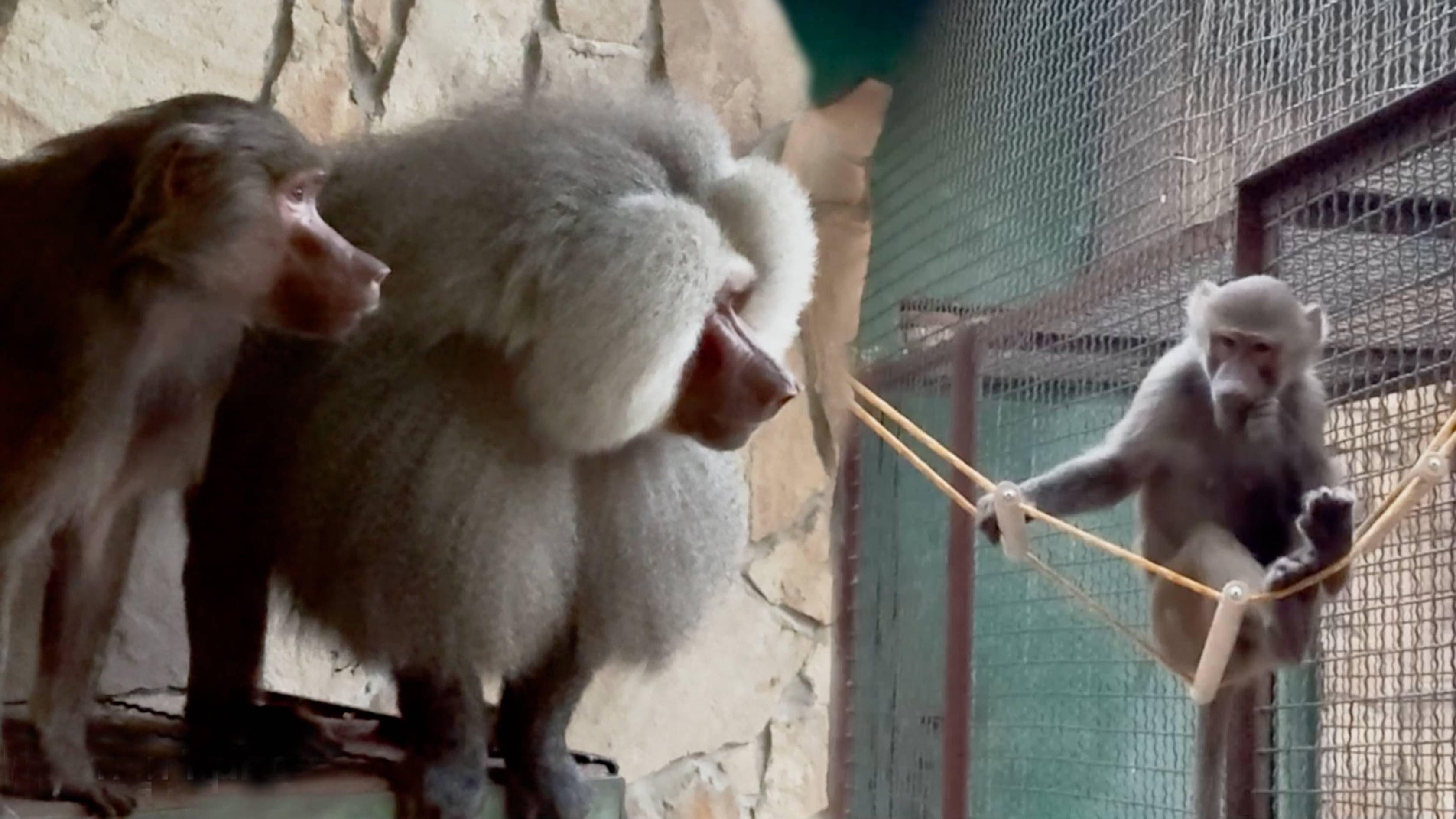 У Люси свои ночные развлечения, пока у Лиды с Елисеем любовь! Метод привлечь внимание работает! смотреть онлайн