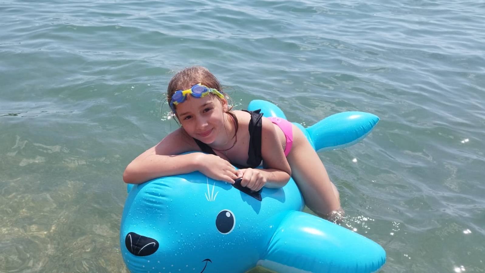 Дельфин и море смотреть онлайн