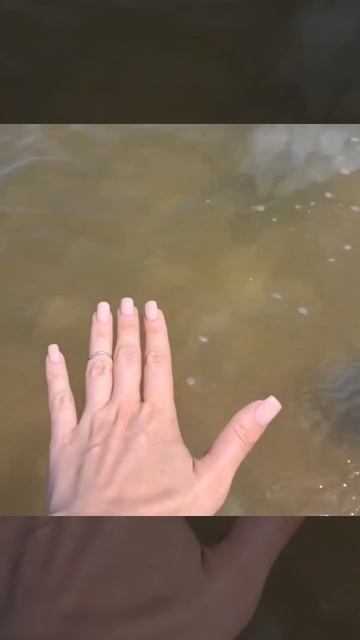 На побережье Азовского моря нашествие опасных медуз — тысячи гигантских желейных гадов наводнили бер смотреть онлайн