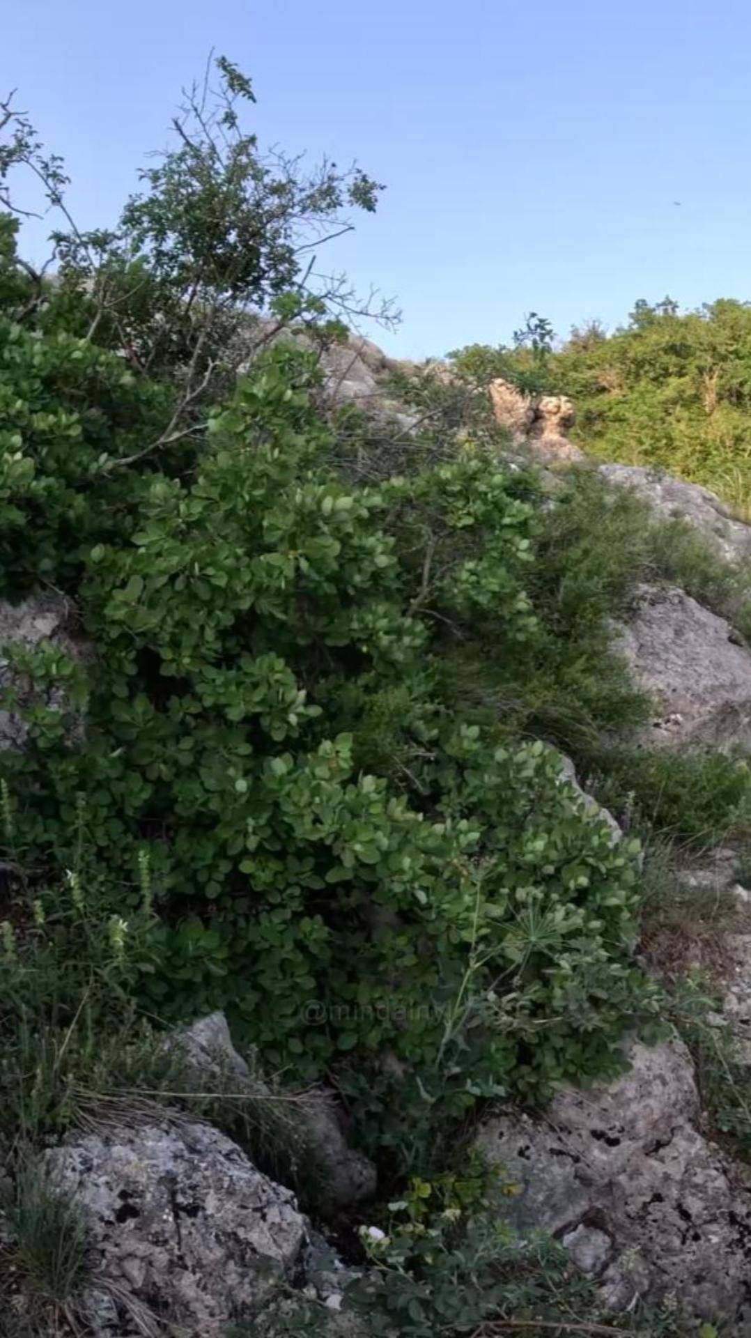 Просто красиво