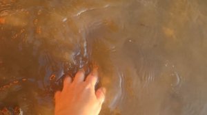 7 лет 0 часть