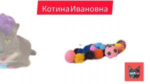 Моя версия заставки котинет ( создано в inShot )