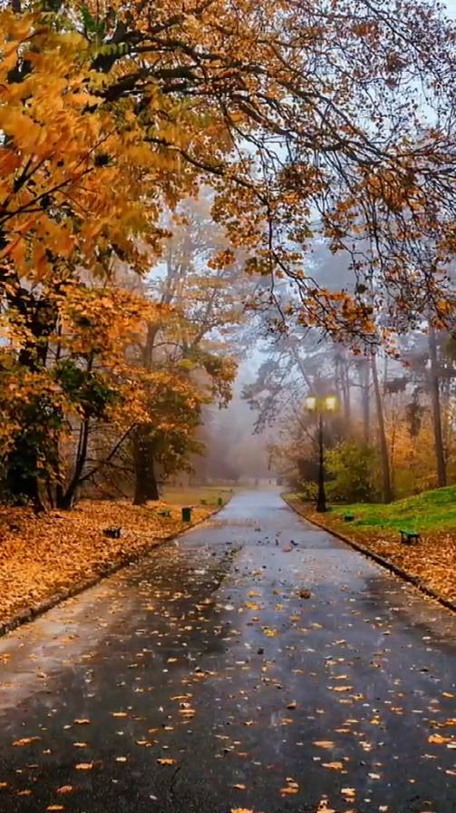 Если вам ... смотреть онлайн