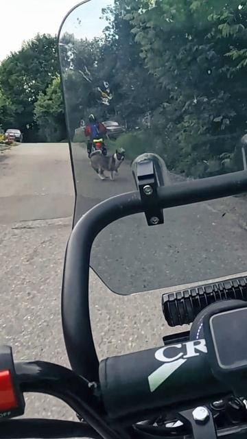 🔴Опасность для водителя мопеда 🛵