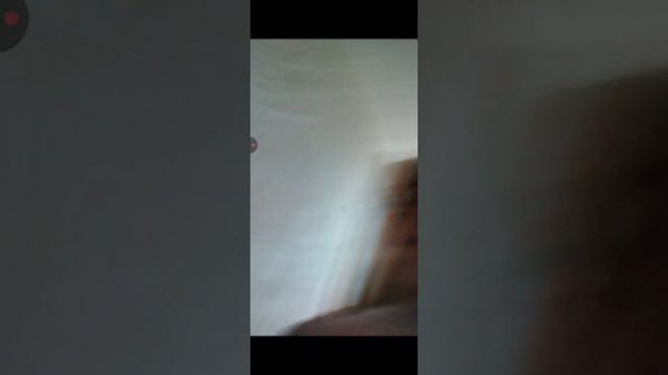 🦆VLOG|Мы улетели🙉🙉МНЕ ОЧЕНЬ ПОНРАВИЛОСЬ ✈✈✈✈✈✈✈🦅|coconut🥥