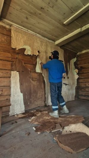 Гнилые бревна??