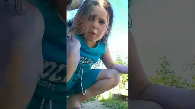 пр смотреть онлайн