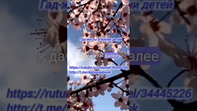 Уберегите детей от компьютерного рабства. смотреть онлайн