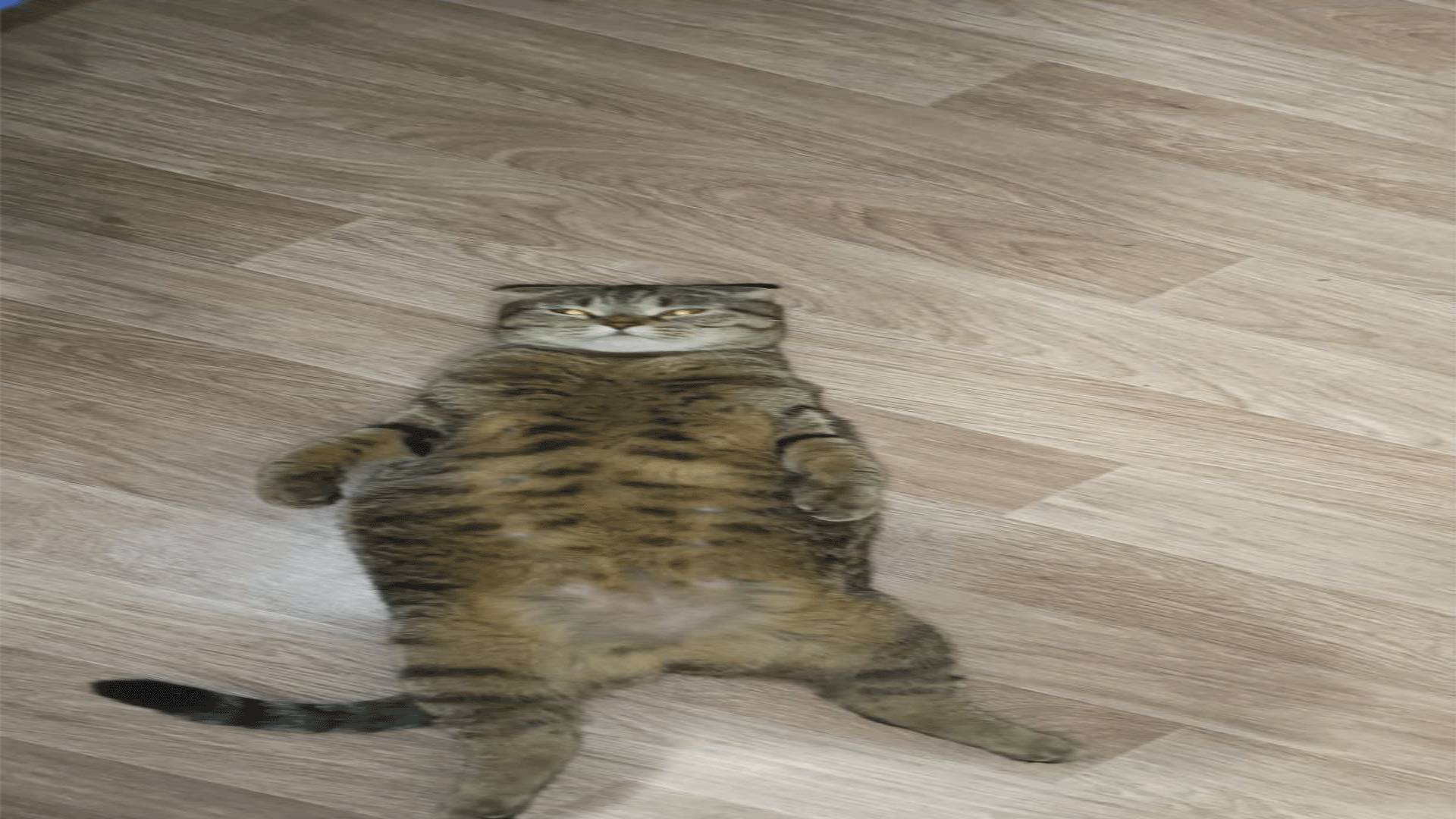 СБОРНИК ЦИТАТ ОТ  КОТА ТИХОНА!💥😏😹🥺