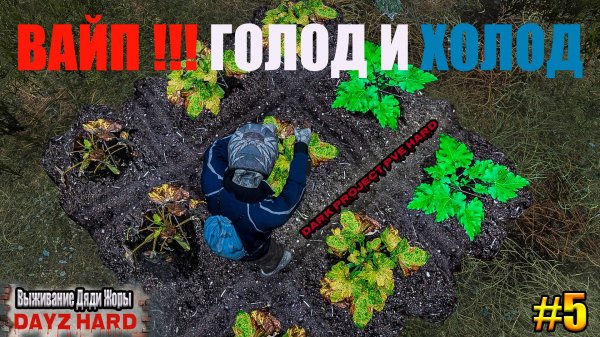 УРА ВАЙП , ВСЕ ПО НОВОЙ (ГОЛОД И ХОЛОД) АД НА БЕРЕГУ!!!! l Dark Project PvE Hard l ( Серия 5 )