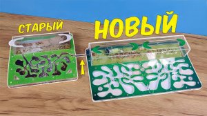 Переселяю Муравьев в новый огромный формикарий! Моим муравьям уже 7 лет!