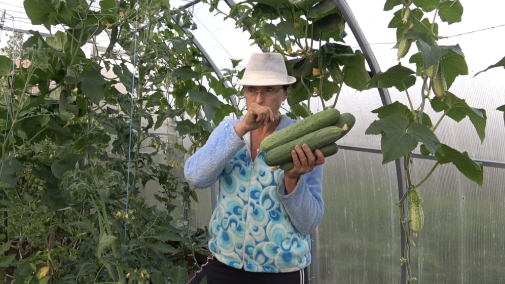 6 соток 16 июля 2025 года. Хроника.