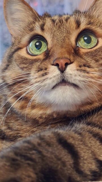 Здоровый образ😺😻🤗🤣👍🚀