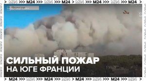Новости мира: пожар на площади 240 га вспыхнул юге Франции - Москва 24