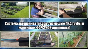 Система автополива грядок с помощью ПНД трубы и маленьких ФОРСУНОК для полива!