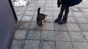 Воспоминания 2020г. 6 декабря