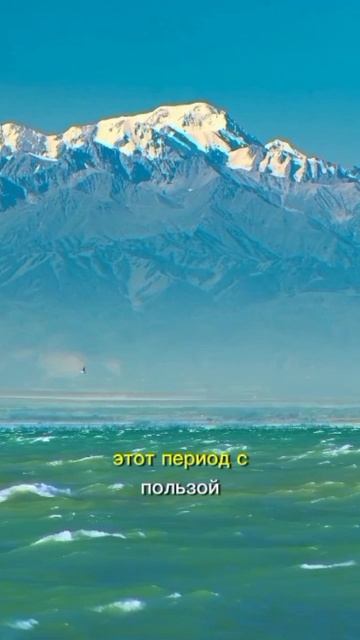 Совет на ретро Меркурий смотреть онлайн
