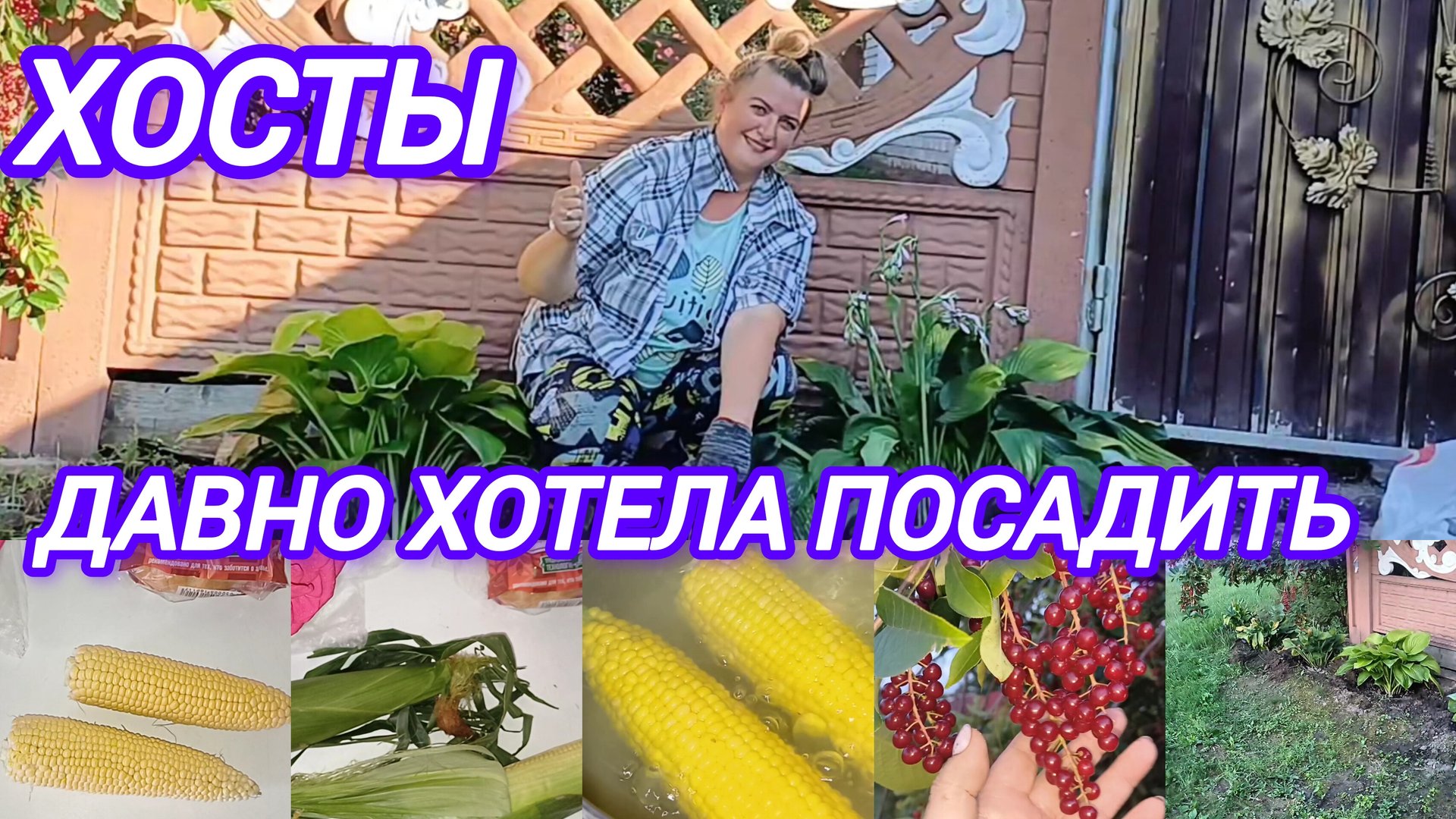 ДАВНО ХОТЕЛА ПОСАДИТЬ. СОБРАЛА НЕМНОГО. ПОЛУЧИЛОСЬ ПЯТЬ смотреть онлайн