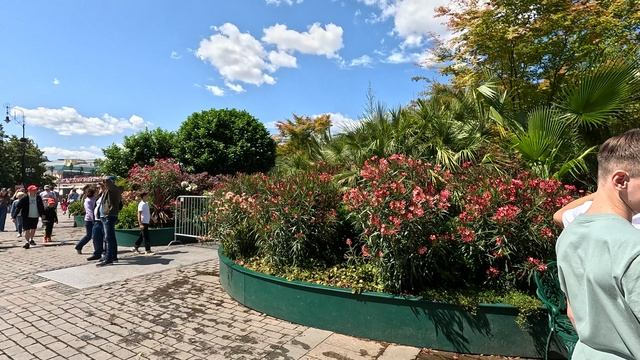 Прогулка по Москве | Красная площадь | Поездка в Москву | Москва 2025 смотреть онлайн