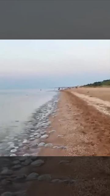 На побережье Азовского моря нашествие опасных медуз — тысячи гигантских желейных гадов наводнили бер смотреть онлайн