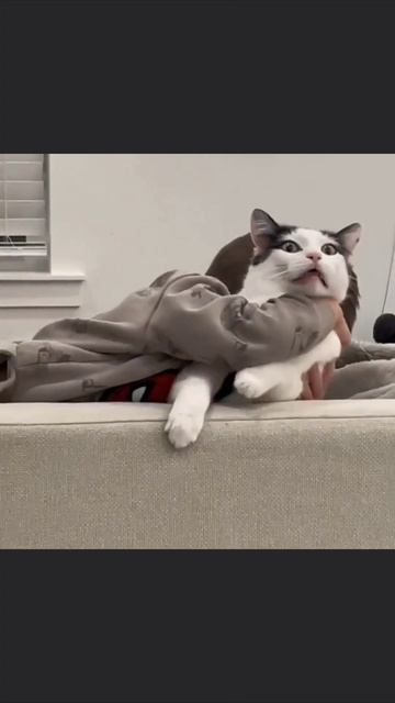 Памагите смотреть онлайн