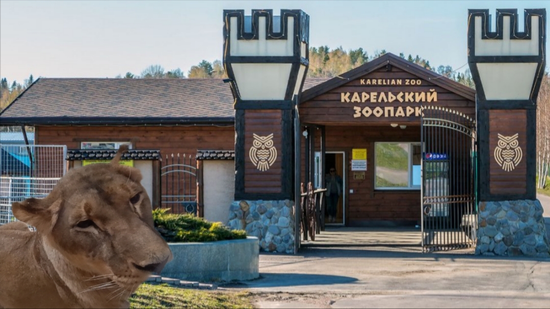 Карельский зоопарк