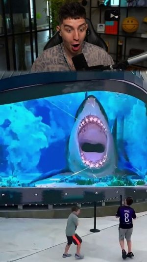 3D-БИЛБОРД, ОТ КОТОРОГО ВСЕ В ШОКЕ 😱