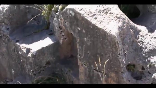 Мегалиты Саксайуамана. Кому под силу построить такие сооружения до нашей эры