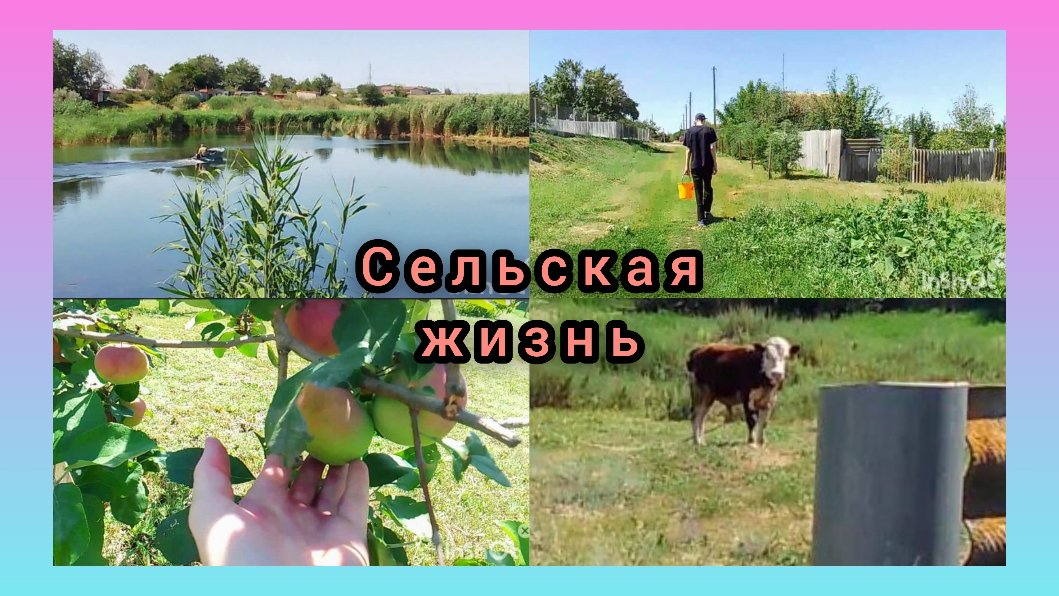 Снова в Поход за ягодой/Небольшая покупка смотреть онлайн