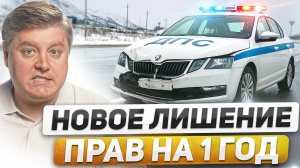 Новый закон: 1 год лишения прав, если не виноват в ДТП. Как теперь пропускать ДПС, ГИБДД, скорую?