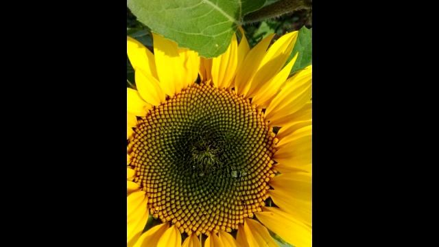 КОМЕДИЯ РОК Ты Любовь найдёшь!!!!!!!!!!!!! смотреть онлайн