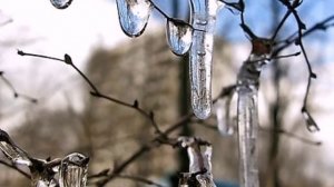 Жан Татлян - Песня о капели